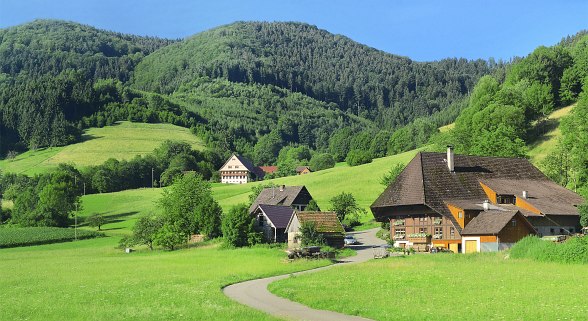 Schlechtwetterprogramm Schwarzwald